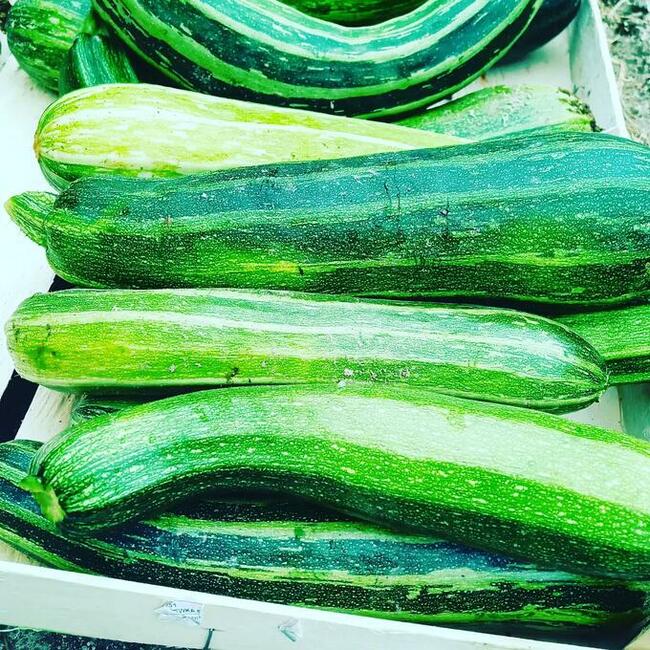 Warzywa prosto z pola- Eko skrzynka- Kurier!