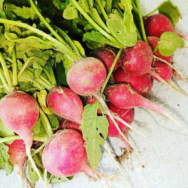 Warzywa prosto z pola- Eko skrzynka- Kurier!