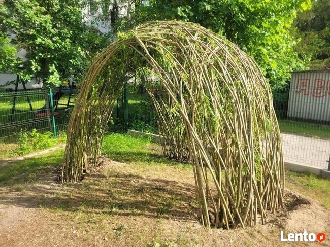 Wolne miejsca w przedszkolu 2022/2023