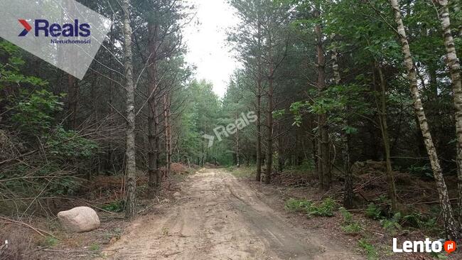 Ogrodzone działki, cisza, przyroda, bez dzików