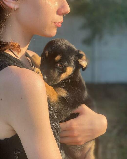 Buba malutka 10.12 tyg.sunieczka szuka domu Fundacja Futrz.