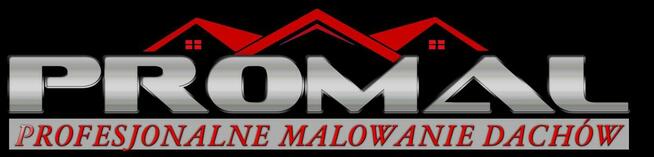 Malowanie dachów, mycie, czyszczenie dachówek, blachodachówki