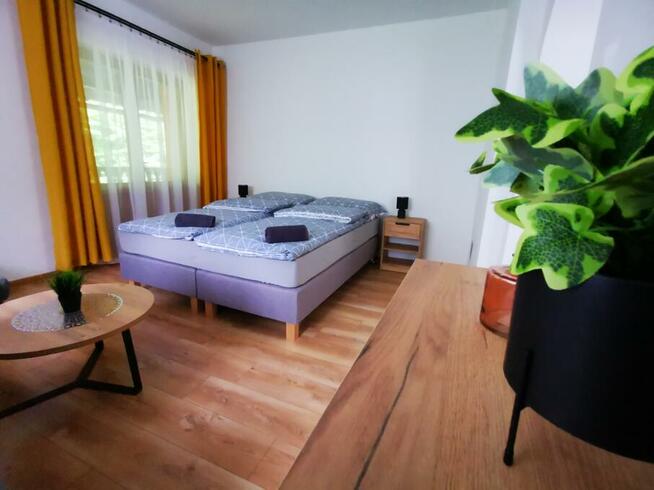 Willa Przy Strumyku Nocleg Hotel w centrum Krynicy Zdrój