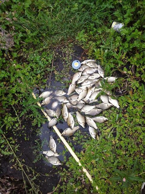 Noclegi nad jeziorem Narie