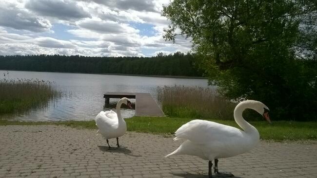 Duży dom na Mazurach dla grup jezioro balia z jacuzzi, plaża