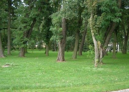 Dom Jelitowo gm. Niechanowo