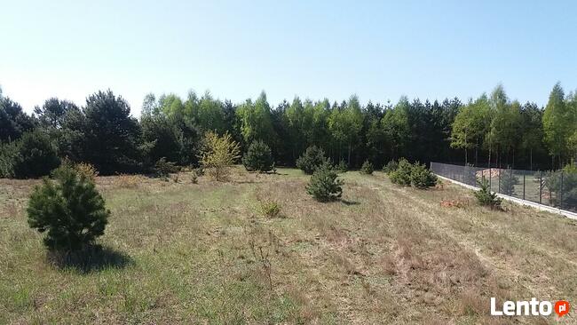 sprzedam działkę z warunkami zabudowy na poj. gostynińskim