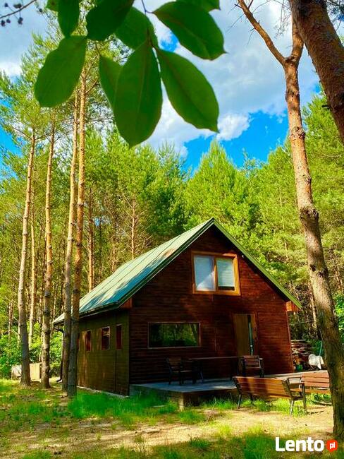 Wynajmę domek/ balia ogrodowa nad jeziorem Lucieńskim