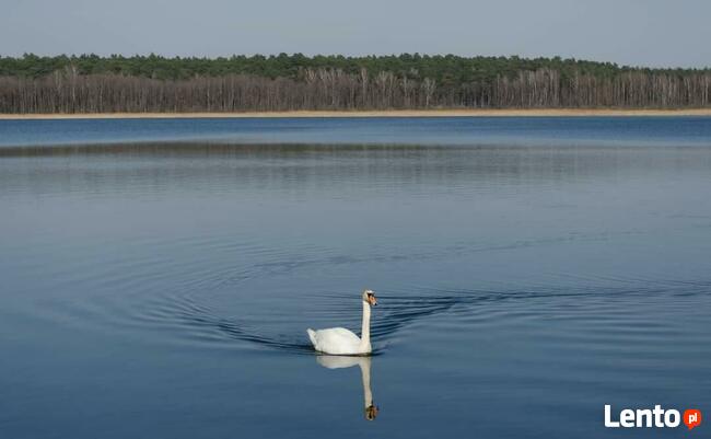 Dom\pokoje nad jeziorem Lucieńskim