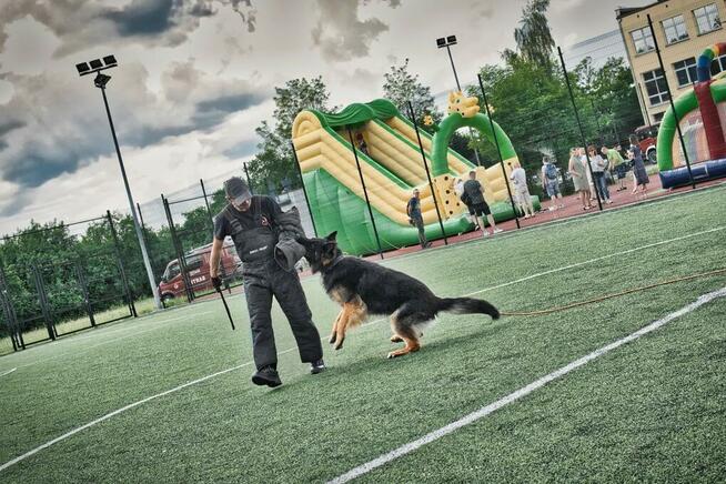 TEAM-DOG Szkolenie Psów Hotel