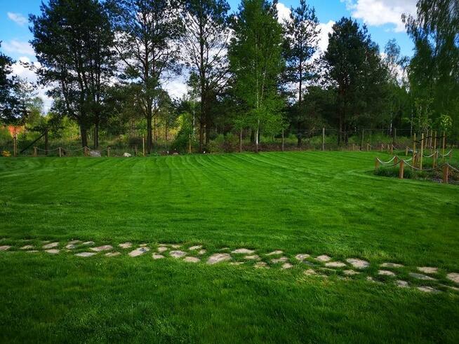 trawniki | nawodnienie | żywopłoty | roboty koszące