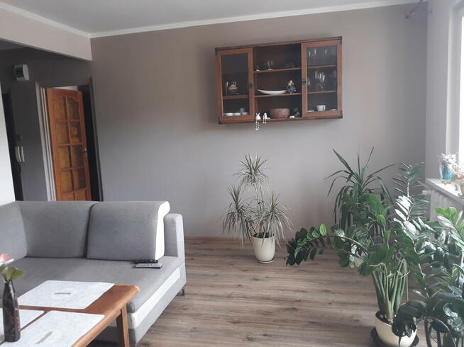 Bukowe Szczecin