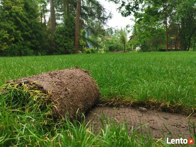 trawniki | nawodnienie | żywopłoty | roboty koszące