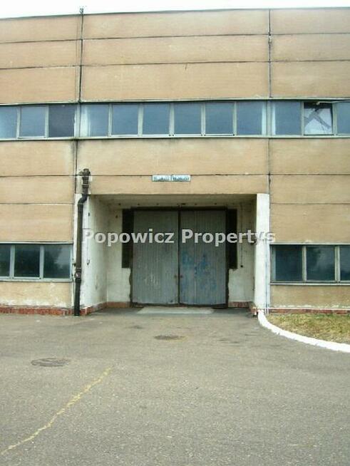 Lokal użytkowy Przemyśl, Monte Cassino
