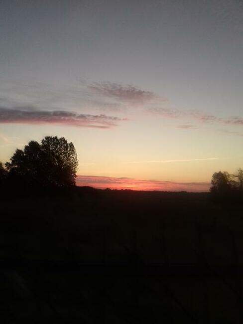 Gościniec Tanie noclegi Kodeń