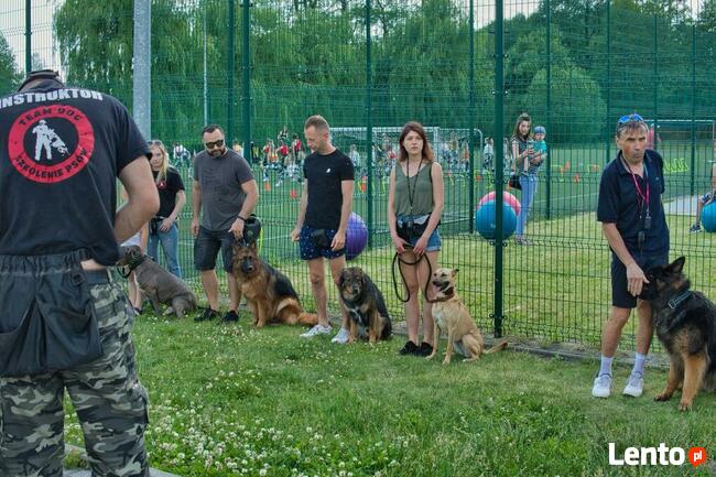 TEAM-DOG Szkolenie Psów Hotel