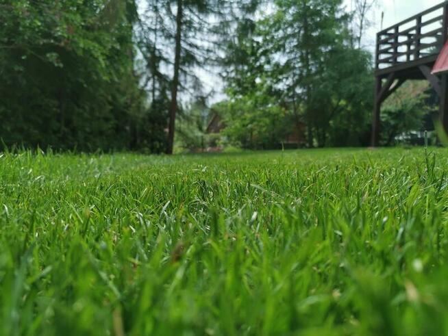 trawniki | nawodnienie | żywopłoty | roboty koszące