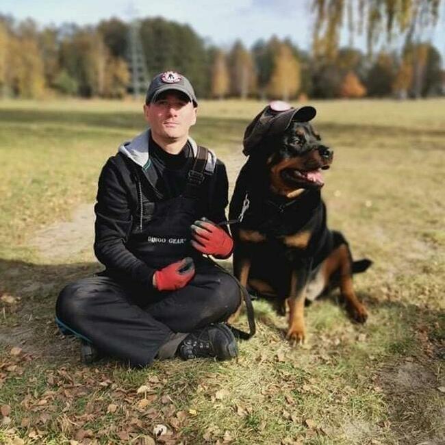 TEAM-DOG Szkolenie Psów Hotel