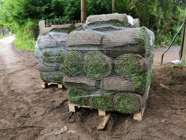 trawniki | nawodnienie | żywopłoty | roboty koszące