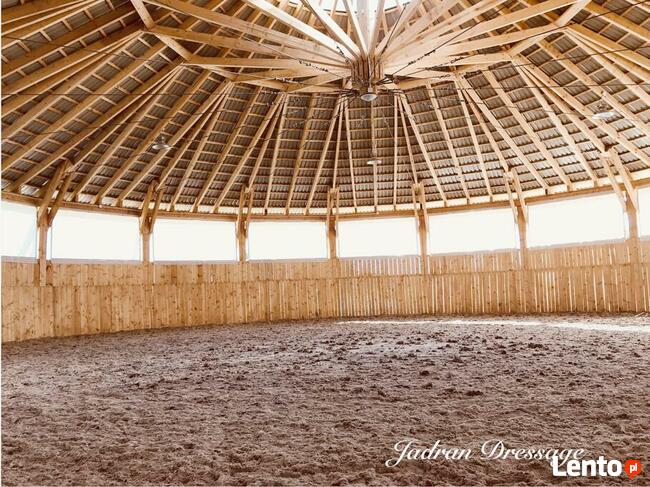 Profesjonalny ośrodek pensjonat dla koni WARSZAWA