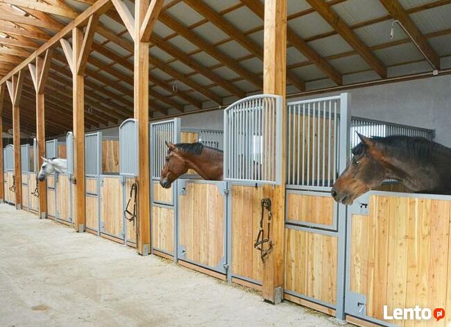 Profesjonalny ośrodek pensjonat dla koni WARSZAWA