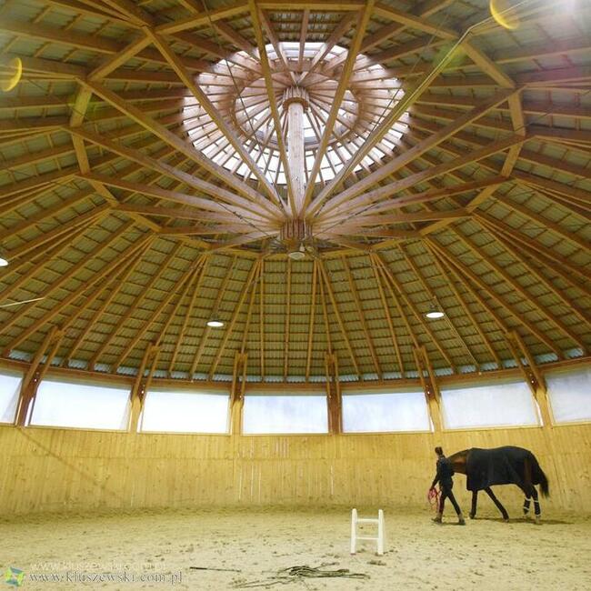 Profesjonalny ośrodek pensjonat dla koni WARSZAWA