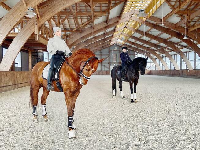 Profesjonalny ośrodek pensjonat dla koni WARSZAWA