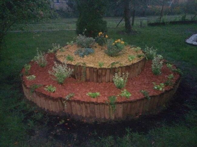 Pielegnacja drzew krzewow wertykulacja aeracja oprysk poleca