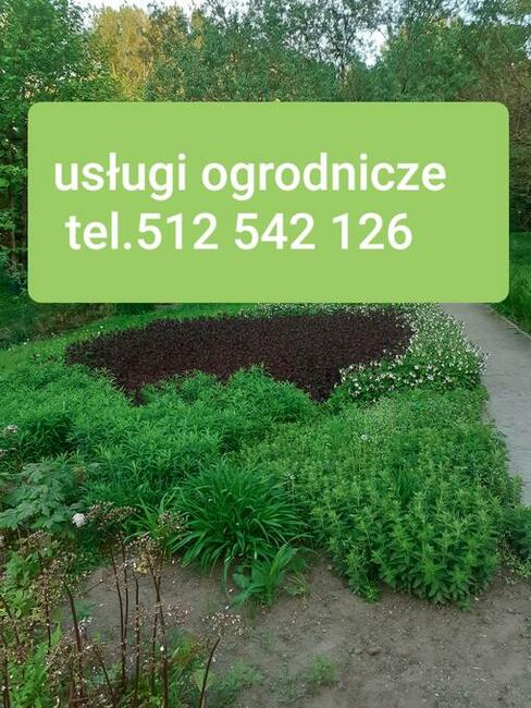 Pielegnacja drzew krzewow wertykulacja aeracja oprysk poleca