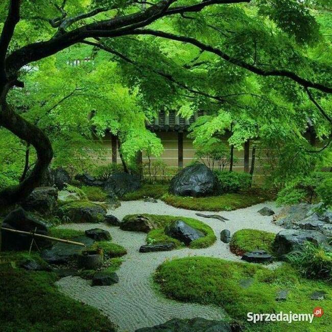 Pod Warszawą, budowlana, wygodny dojazd, możliwa zamiana