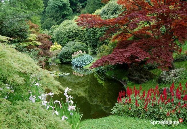 Pod Warszawą, budowlana, wygodny dojazd, możliwa zamiana