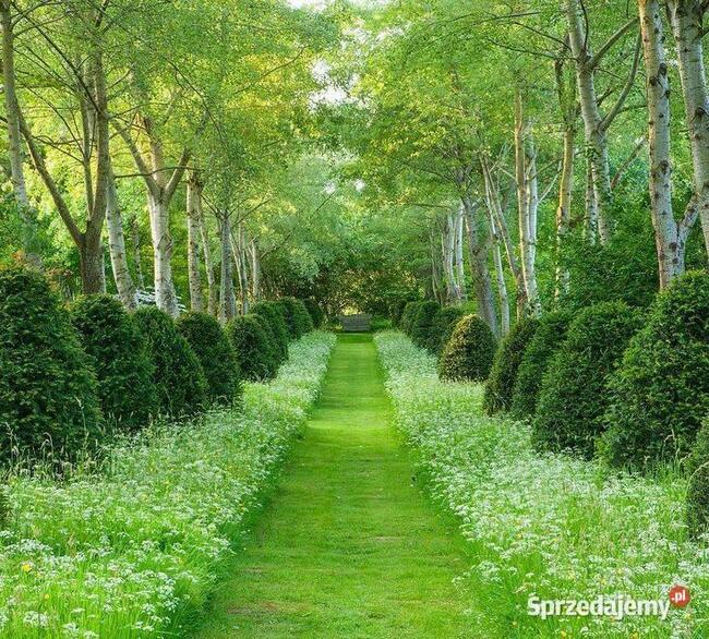 Pod Warszawą, budowlana, wygodny dojazd, możliwa zamiana