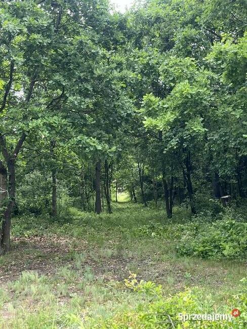 Pod Warszawą, budowlana, wygodny dojazd, możliwa zamiana