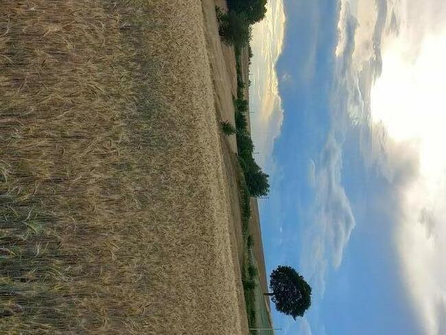 Działka budowlana Brzeziny podkarpackie