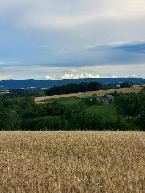 Działka budowlana Brzeziny podkarpackie