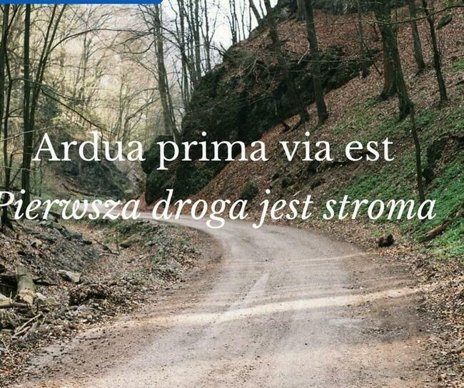 Korekta tekstów, redakcja