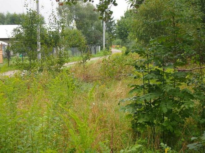 Halinów, Cisie, dz. budowlana 900 m2, MPZP