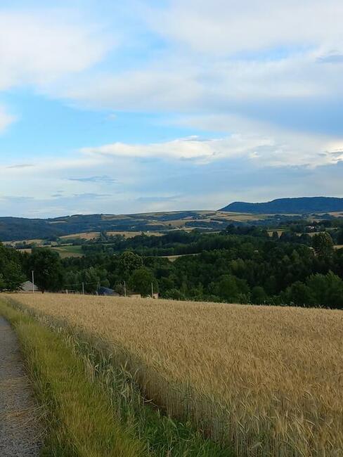 Działka budowlana Brzeziny podkarpackie