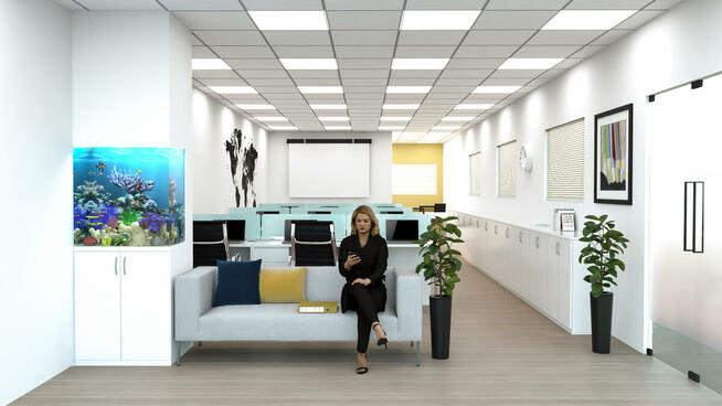 Akwaria na zamówienie, serwis akwarystyczny AKWARIA DEKORACY