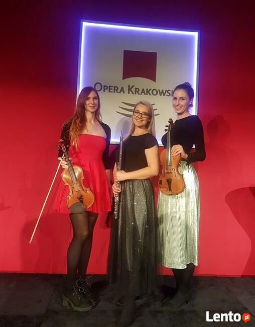 Dwie skrzypaczki - duet skrzypcowy - na ślub lub przyjęcie