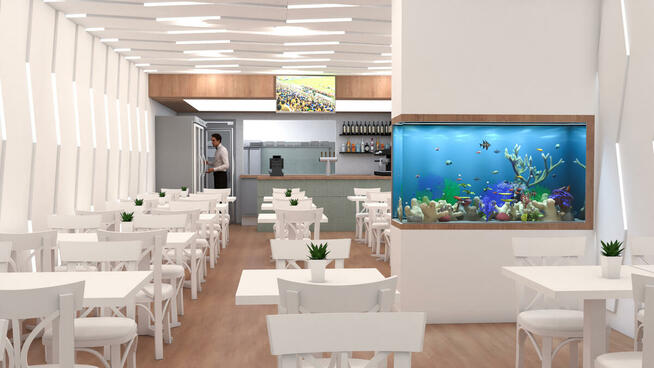 Akwaria na zamówienie, serwis akwarystyczny AKWARIA DEKORACY