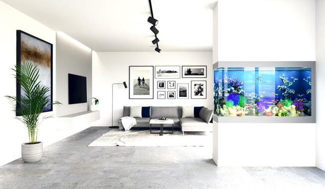Akwaria na zamówienie, serwis akwarystyczny AKWARIA DEKORACY