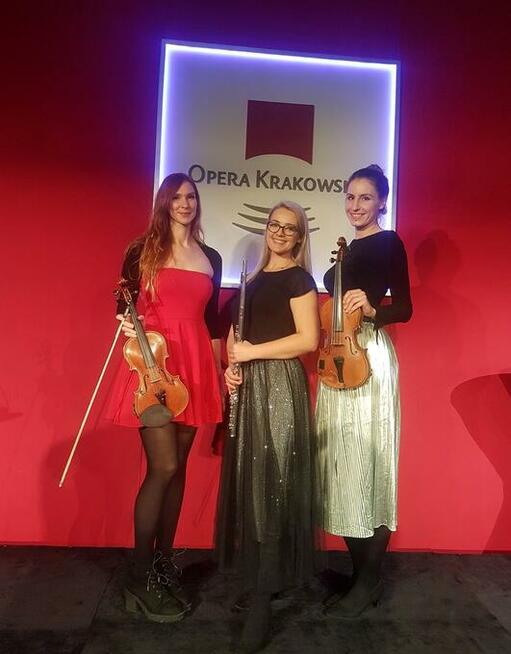 Dwie skrzypaczki - duet skrzypcowy - na ślub lub przyjęcie