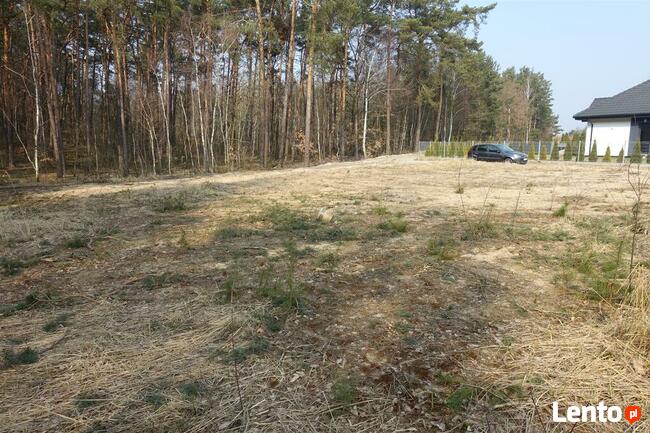 Bogucin - działka z warunkami zabudowy !!!/BIURO