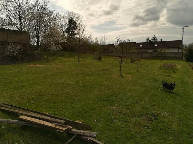 Kietrz - działka budowlana o powierzchni 747 mkw