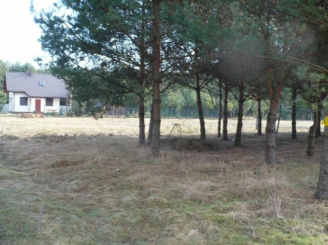 Radomsko Wygoda działka budowlano - rolna 3960 m z lasem