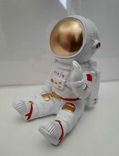 Kosmonauta taikonauta skarbonka Astronauta space kosmos