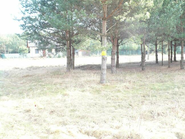 Radomsko Wygoda działka budowlano - rolna 3960 m z lasem