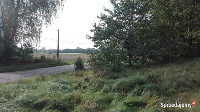 Pabianice -Janowice 1234m media en/el, woda, droga asfaltowa