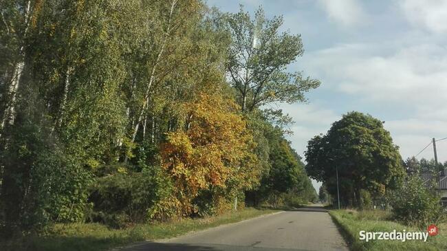 Pabianice -Janowice 1234m media en/el, woda, droga asfaltowa